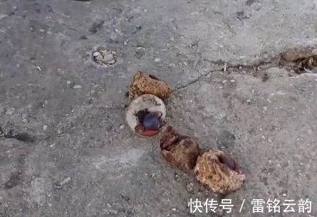 钓鱼|男子海边钓鱼发现奇怪水瓶,打开细看后,大开眼界