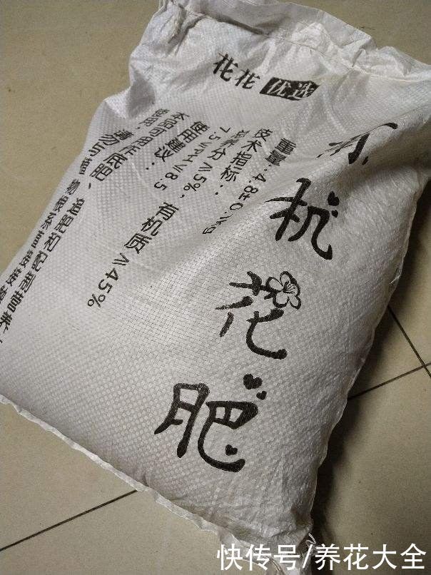 花盆里垫4种“小东西”,花不烂根还透气,根长得超壮