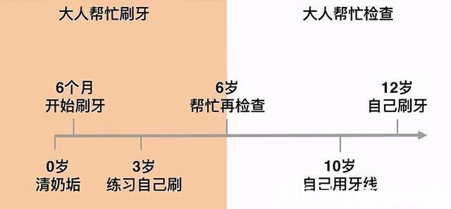 顺序|宝宝准确的出牙时间、顺序是什么 一张图告诉你,你家娃中了没