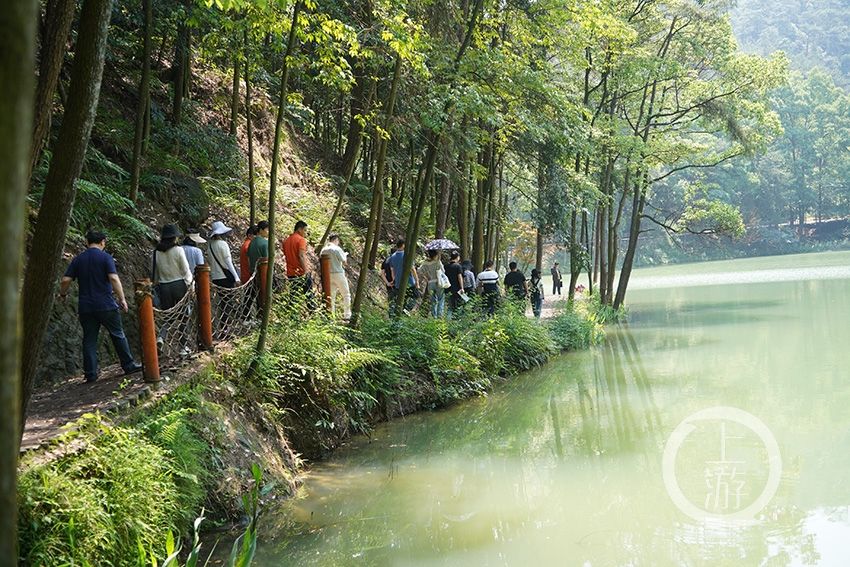 黛湖|生态修复 缙云山黛湖变身旖旎美景