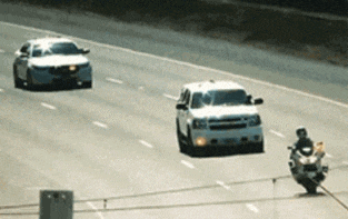 |搞笑GIF趣图:姑娘,你确定不是来找树碰瓷的?