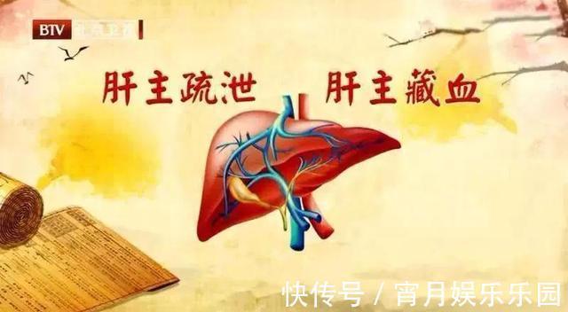 葛根|身边的“天然解毒王”！每天吃一点，健脾祛湿、给肝脏洗洗澡