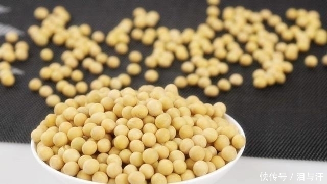 食物|黄豆与它一起煮,气血足了、肾变强了,三高降了,肝也越来越健康