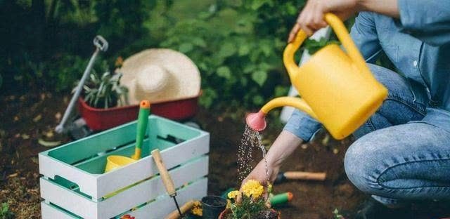 发现冬天养花有5种水不能浇，浇之后，那叫一个“惨”，都看看吧