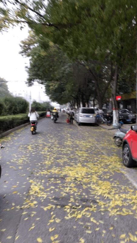 降雨|降温+大风+降雨,气温要将至个位数啦!