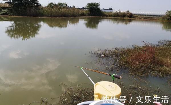 东风|冬季钓鱼,看准风向选时机,北风和南风,哪种风向鱼最好钓?
