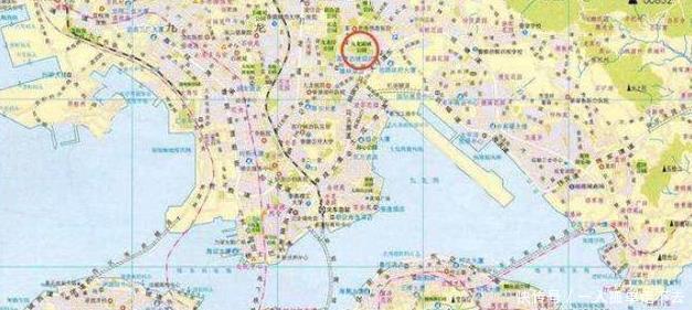 退出历史|清朝已经灭亡80年,海外仍有一支5万清军,为大清战斗!