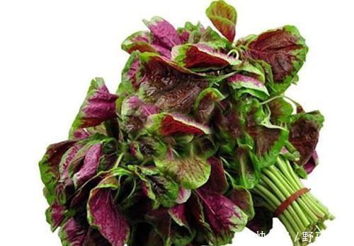 女性可以不吃肉,4物一定要吃,去除老雀斑,补血比阿胶都好