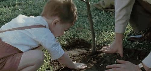 父母|“儿子用200元换了20元的玩具”,孩子间不等价交换,大多数父母都做错了