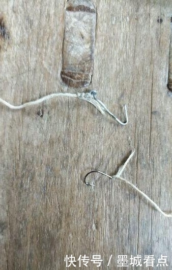 鱼钩|没想到还能这样钓鱼,一看就是个高手