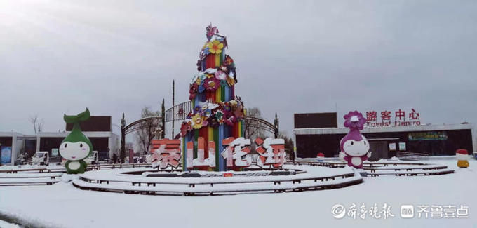 中年|泰山花海变雪中游乐园，踏雪寻梅正合时宜