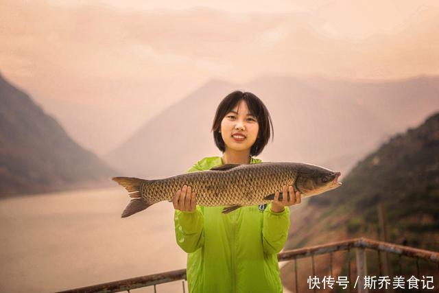 千岛湖抓获50斤的“鳜鱼王”,钓友:不敢吃!看上去像变异一样