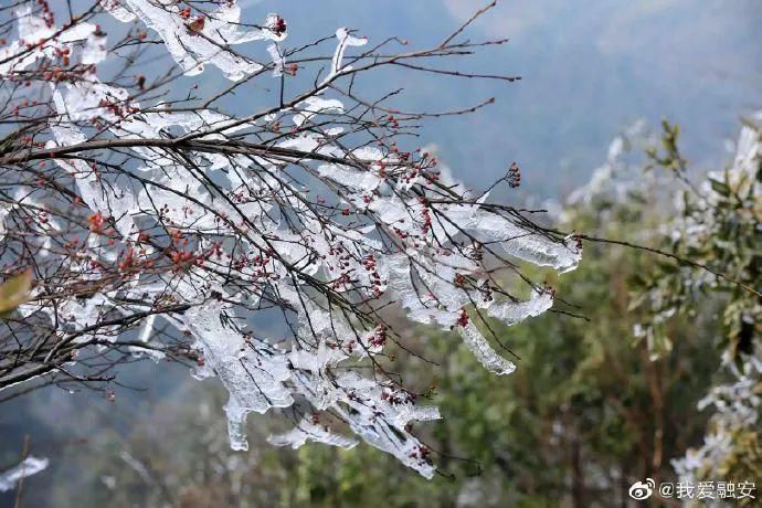 美成|下雪啦！广西多地出现雪景雾凇景观，美成仙境！附赏雪攻略