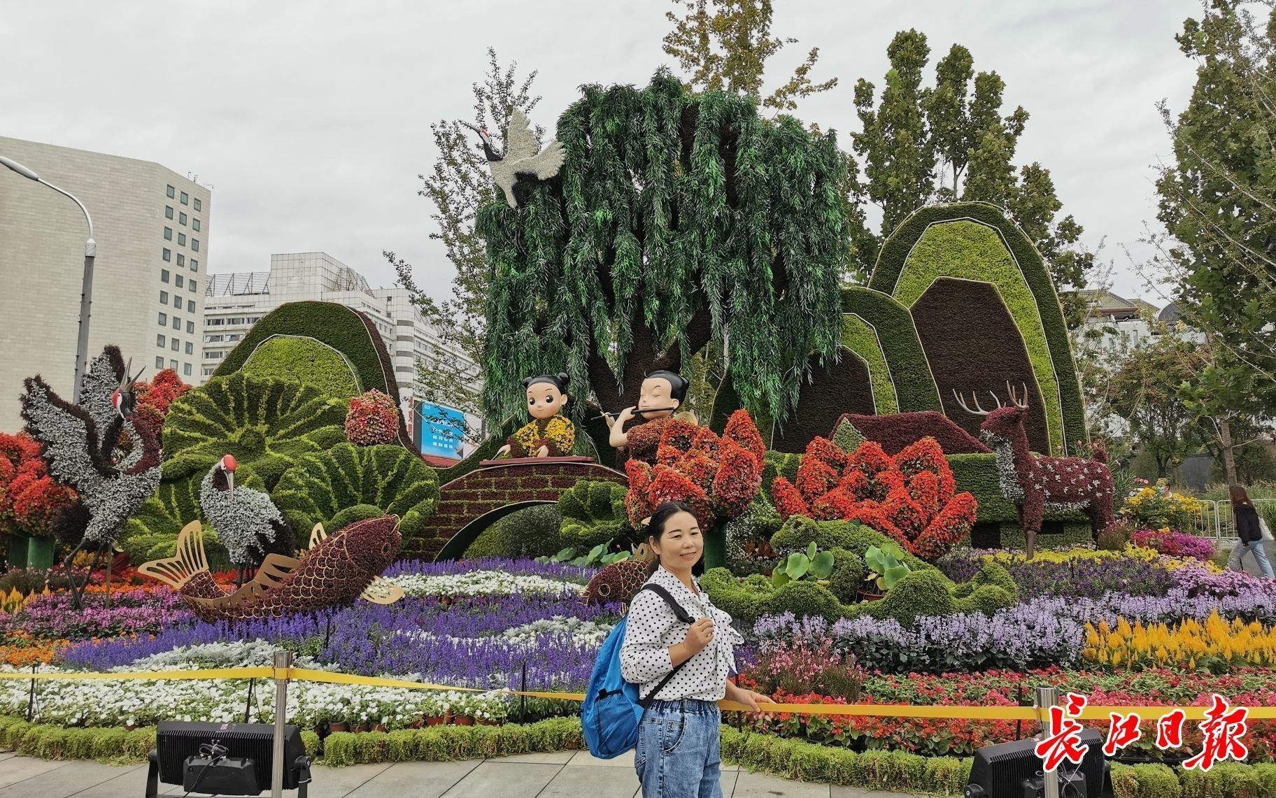 上新了 北京國慶花壇總設計師揭秘主題花壇多元花語 中國熱點