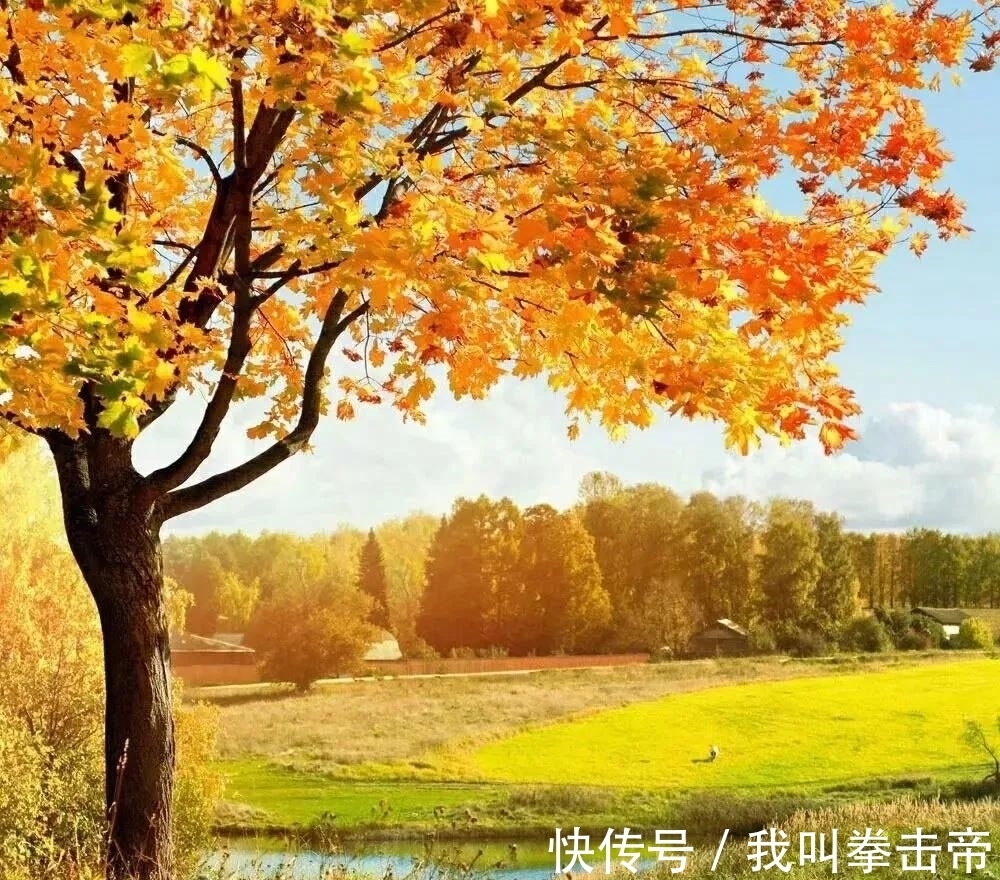 五花山&掬一缕秋阳,微笑向暖!(好文)