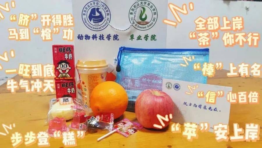 青岛农大|最强花式应援来了！这是属于青岛农大考研学子的专属温暖