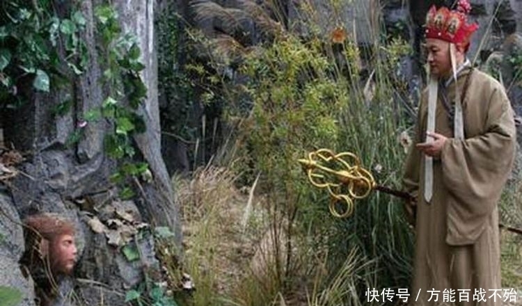 沙僧|为何猪八戒沙僧很少去搬救兵孙悟空一语道破玄机