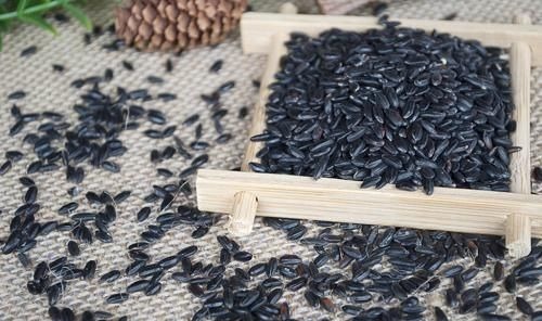 你知道黑米不能随便吃吗？这2类人，还是别凑热闹了