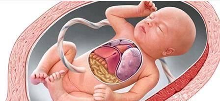 胎儿|胎儿在妈妈肚子里也会缺氧,会这样小心的“提醒”妈妈