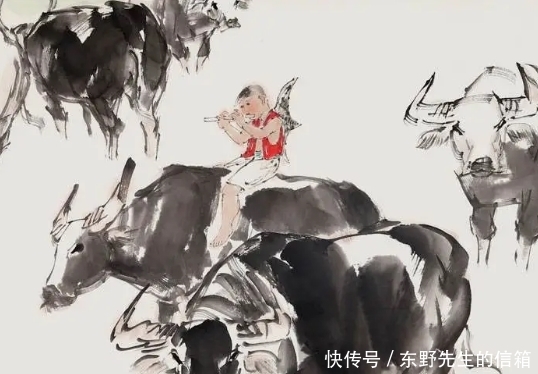 涨知识:牛为什么“牛”,话说农耕中的牛