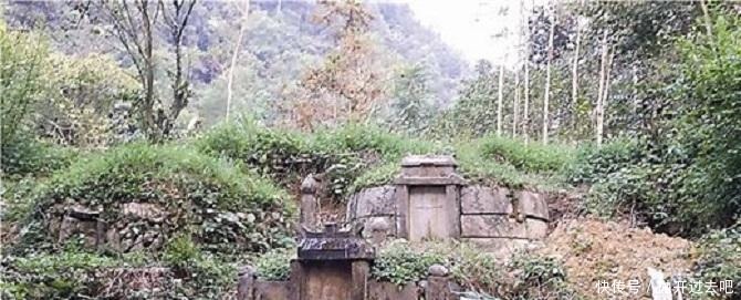 盗墓贼|墓门前载有此树,盗墓贼转头就走,不会挖一块土!