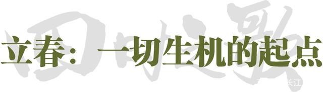 立春｜怎么也飞不出“花花的世界”，到汉口这条小巷探听春的消息