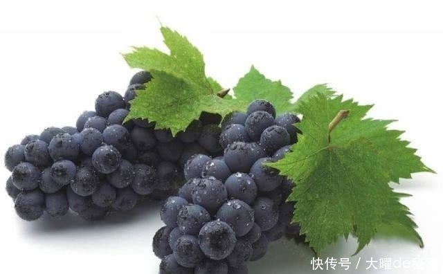 抽烟|肺部“清洁工”找到了,常抽烟的人多吃一些,清除肺毒更健康