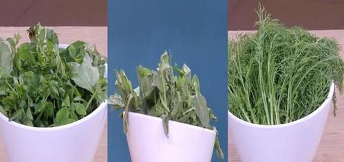  调理脾胃|脾胃病三分靠治，七分靠养！照这方法吃，健脾和胃，专调脾胃问题