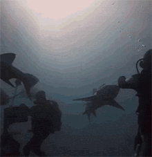 |搞笑GIF:摄影师都是高手,这结婚照P的,过火了吧