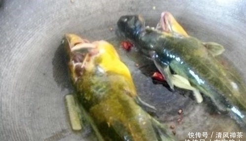 此鱼再贵也要常给孩子吃,加快大脑发育,比喝牛奶都要好