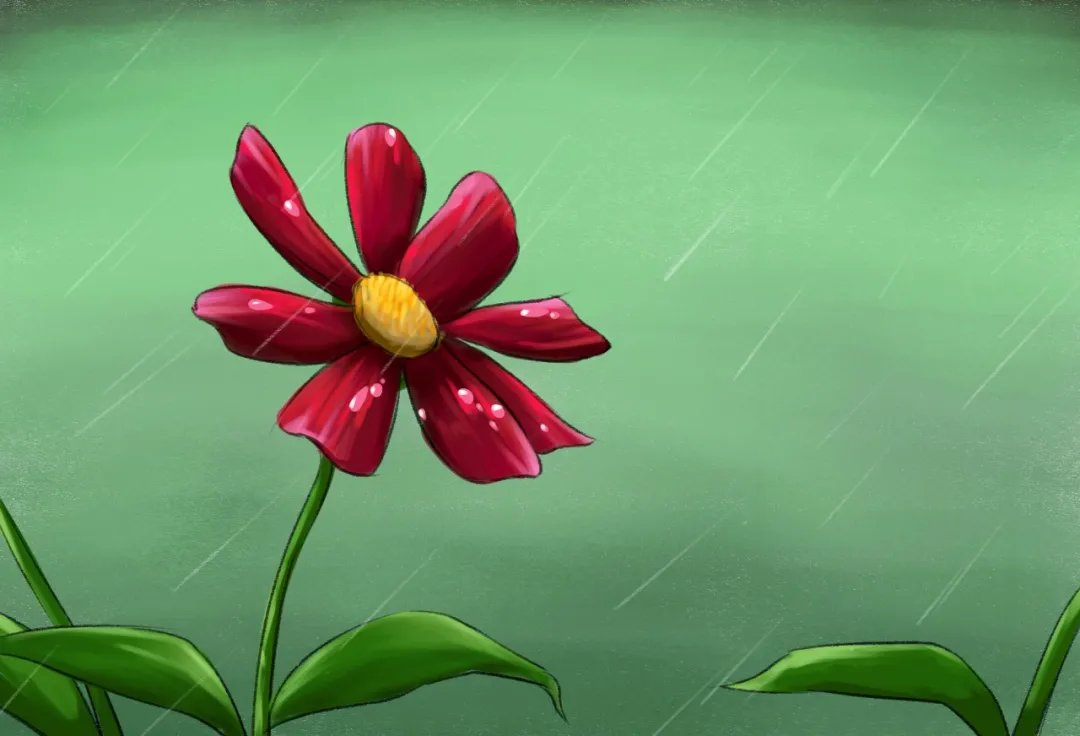 雨，一生的悲欢离合|诗词 | 梧桐叶