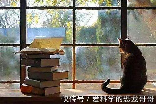 于心|读书好比进美容院，闭上眼也可以闻到书香，也可以长存于心！