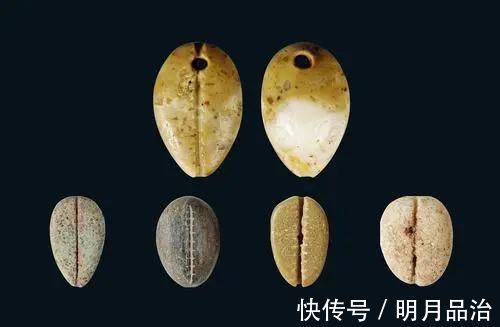 牛羊|古代早期用贝壳做货币，为什么穷人不捡贝壳致富？