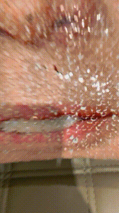 |搞笑GIF:这或许才是种西瓜的真谛,只生产西瓜子