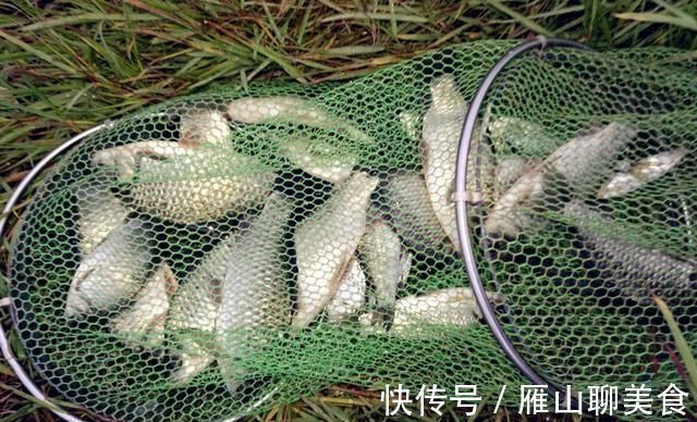辈子|野钓大半辈子,竟然才知道诱鱼最管用的方法,你尝试过了吗