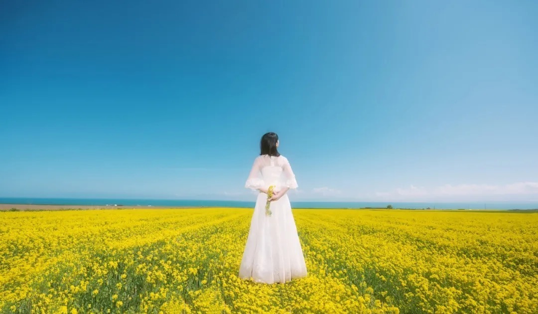 出租车|心态不好,所有养生都是徒劳的