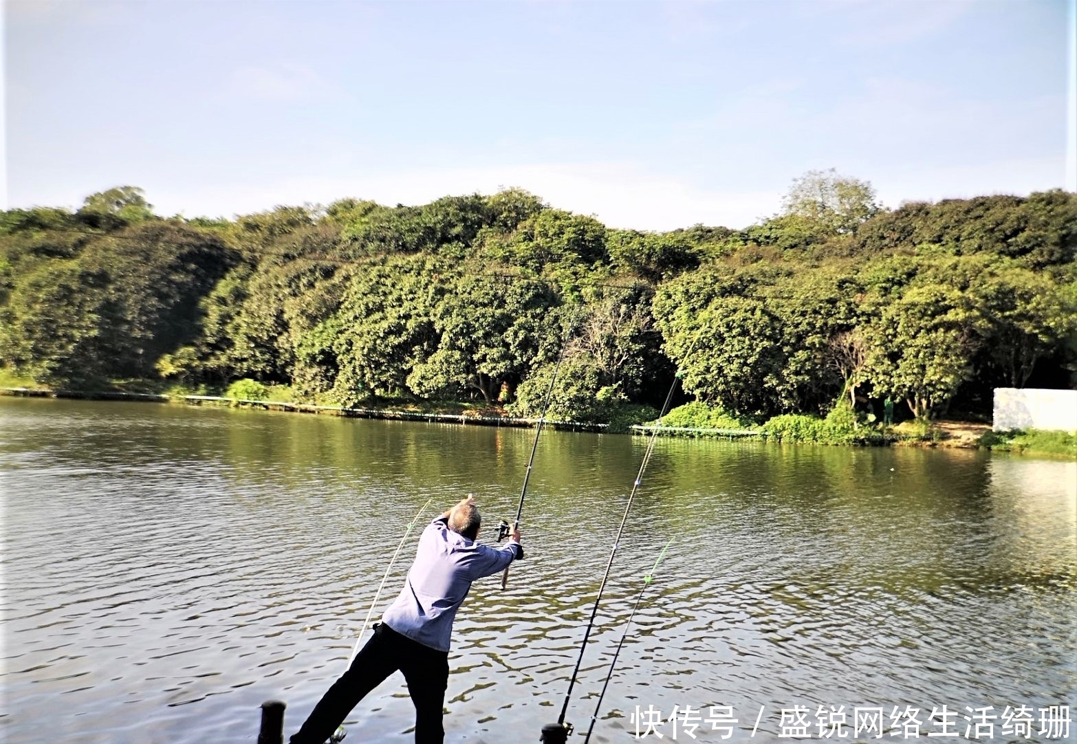 为何一到夏天鱼口就不好？采取这些措施，让鱼乖乖吃饵