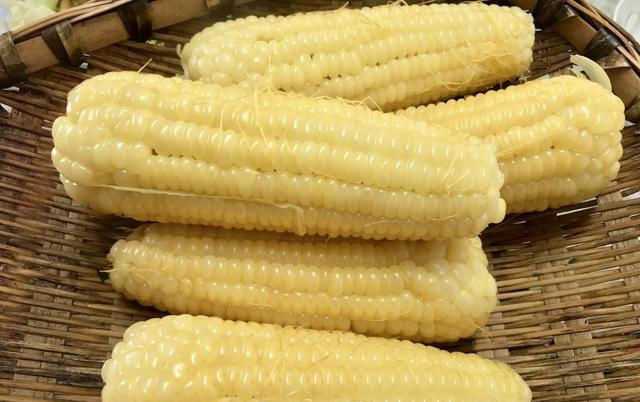 好吃|粗粮不好吃试试玉米面的新吃法,酥软适中,柔软劲道比馒头好