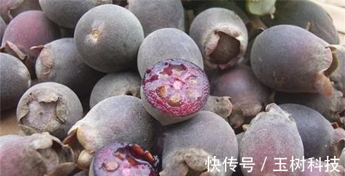 纤维蛋白|女性想要身体好,三种食物少不了,滋养脾胃,养肾阴血,保护子宫