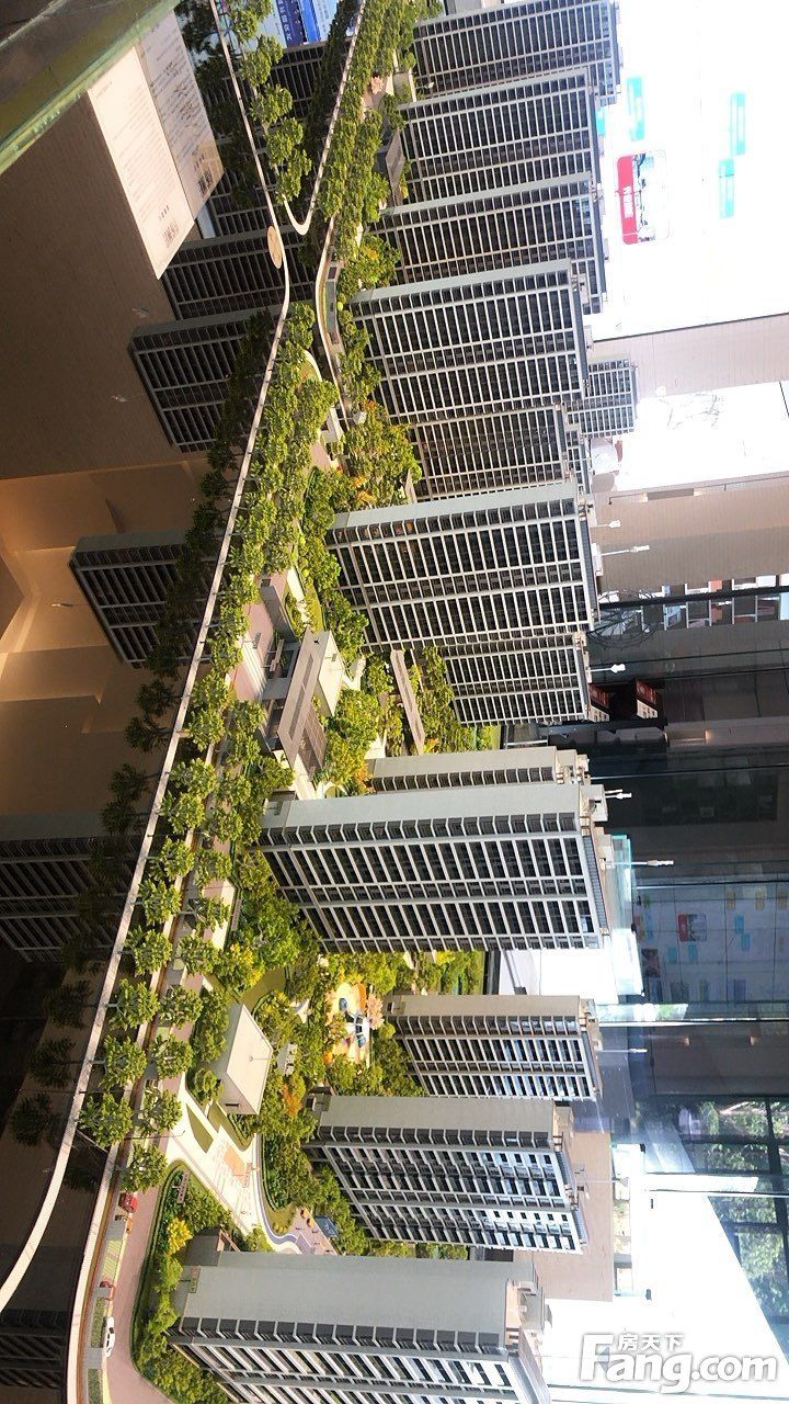 楼盘|想看嘉兴秀洲新区楼盘的最新现场实景，选房一定要看