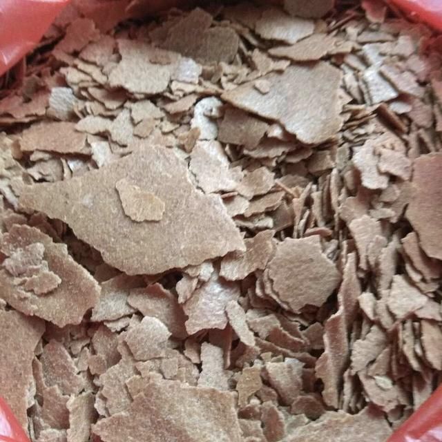 养花有必要加“底肥”吗老花匠教你这样做,植物根系又粗又壮