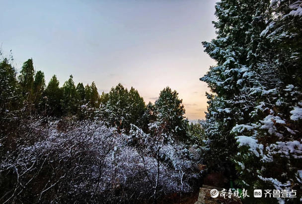 老年|大美!济南鲍山公园雪挂枝头,黄昏落日惊艳了初春