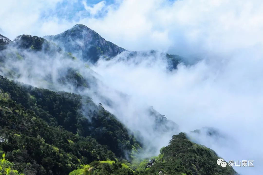 云海|云海浮波翻涌山水澹澹生烟