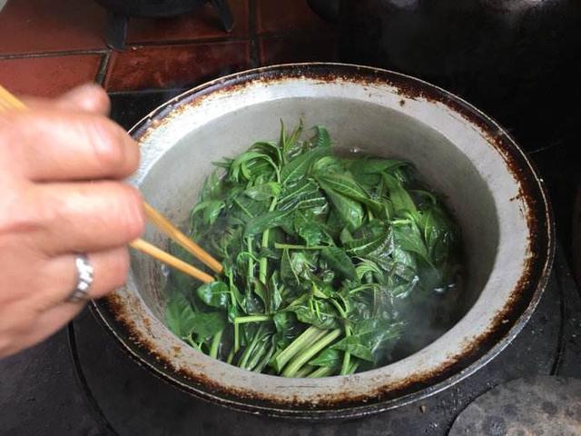 香椿|长期做饭的人要注意2种蔬菜，别忘了焯水，避免食物中毒