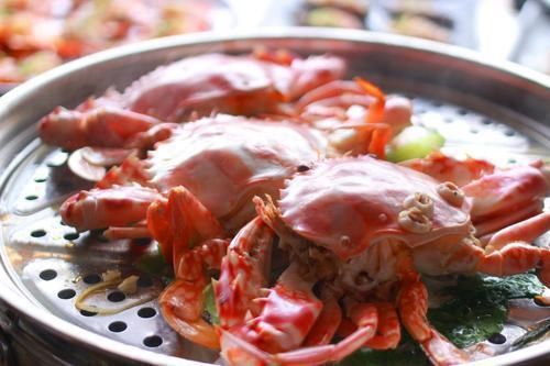 日照美食探店总结，日照好吃的四家网红饭店，不来可惜