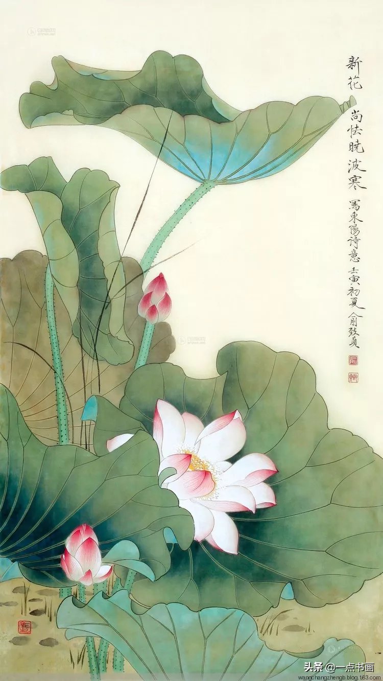 芙蓉#俞致贞 画荷，芙蓉出水，风情无限