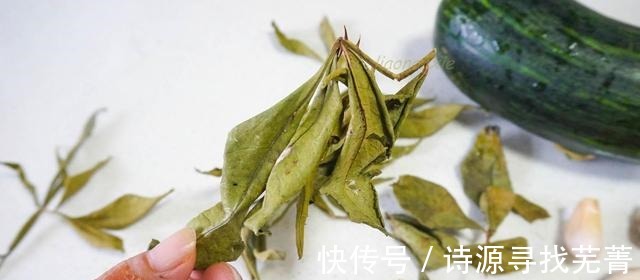 花椒树|炒南瓜加几片这种树的叶子,浓浓的香味让人流口水,太好吃了!