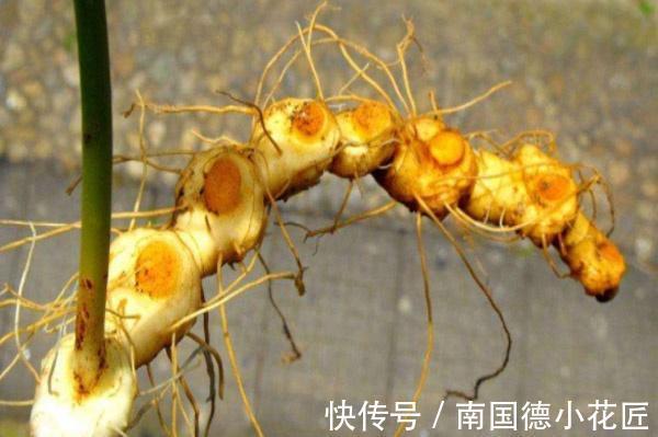 肾气|牢记：男人肾不舒服，少做2件事，常吃2物，补肾气，更有活力