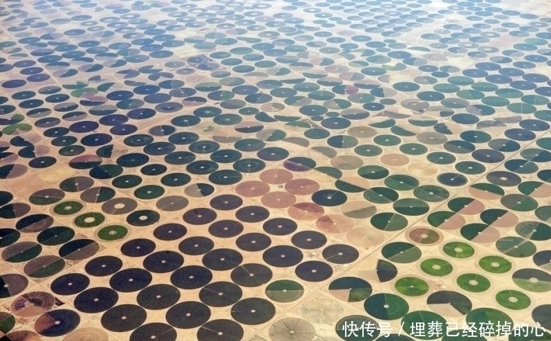 19张你能盯着看超过1分钟的惊奇照片,让你发现世界的奇妙!