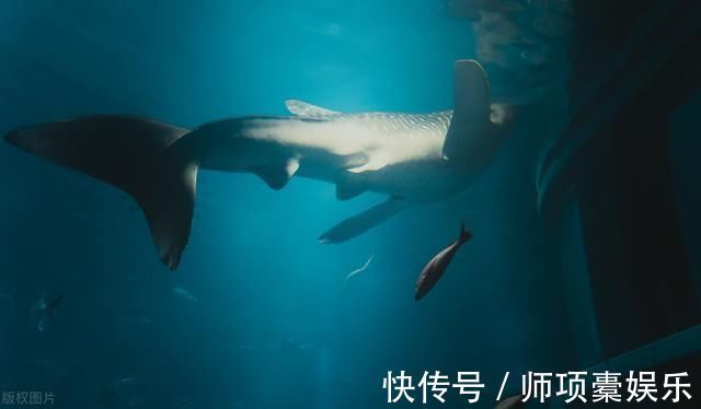 才气|郭沫若声称才气不输苏轼,曾写下一首《水调歌头》,读罢高低立判